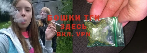 молекула духа Алексеевка