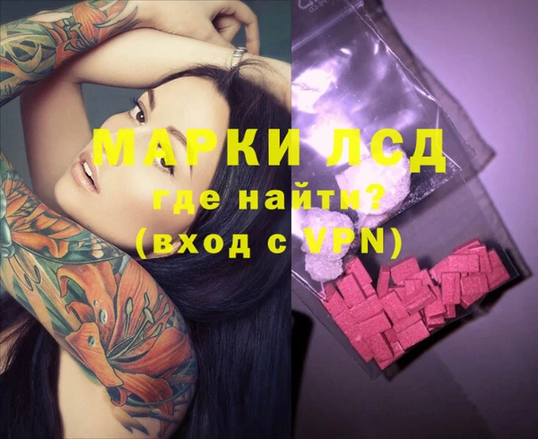 индика Алзамай
