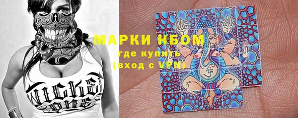 индика Алзамай