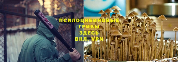 ГАЛЛЮЦИНОГЕННЫЕ ГРИБЫ Алексин