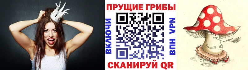 Галлюциногенные грибы мицелий  Качканар 
